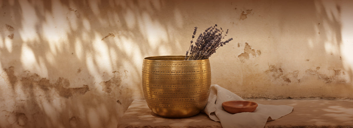 Pots & Planters