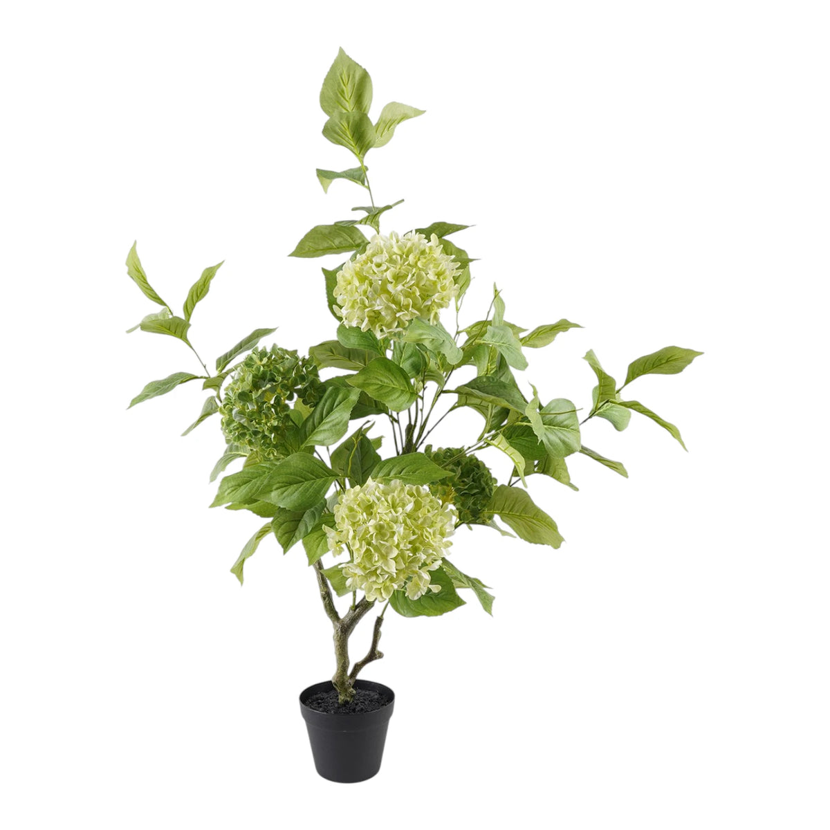 POTTED HYDRANGEA 108CM