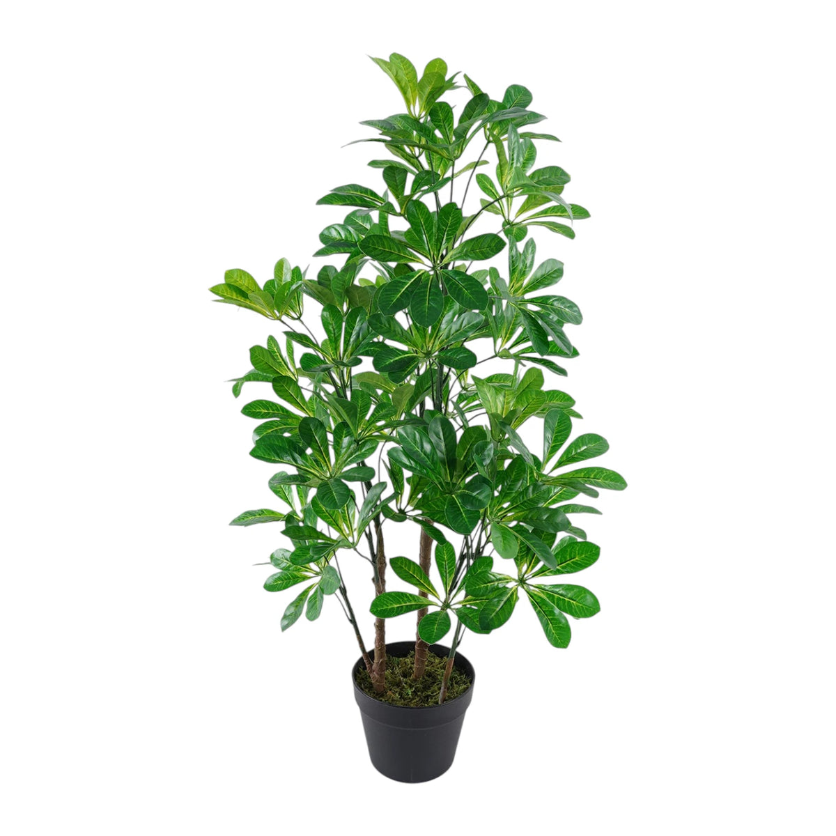 UMBERLLA TREE 94CM