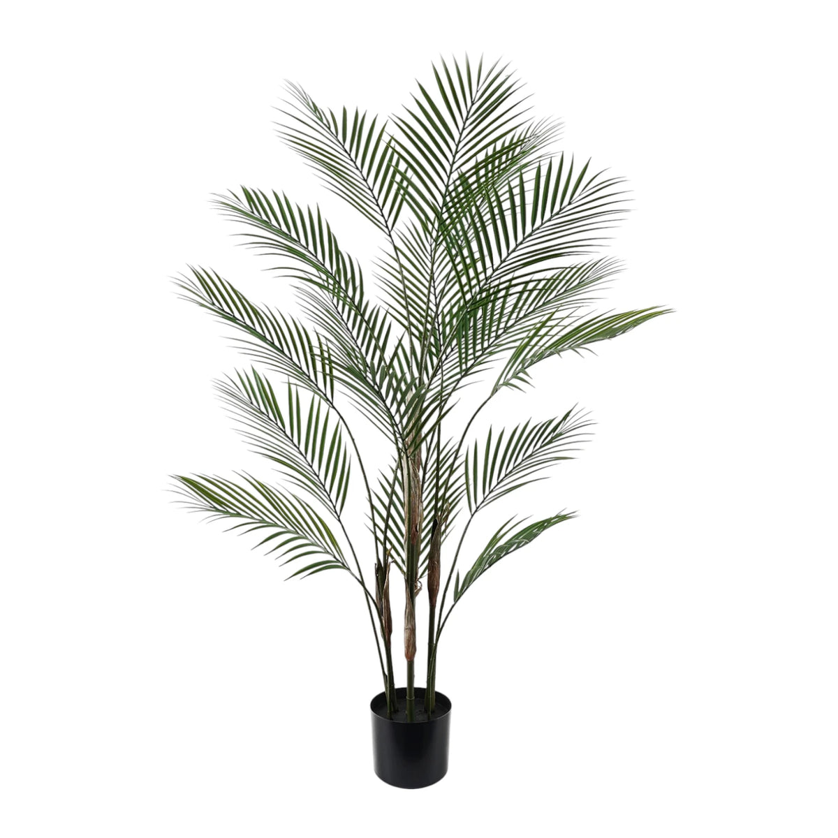Tropical Palm - 120cm