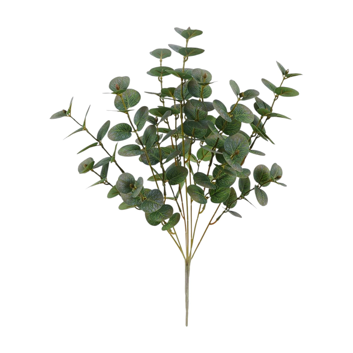 Eucalyptus Artificial Stem A