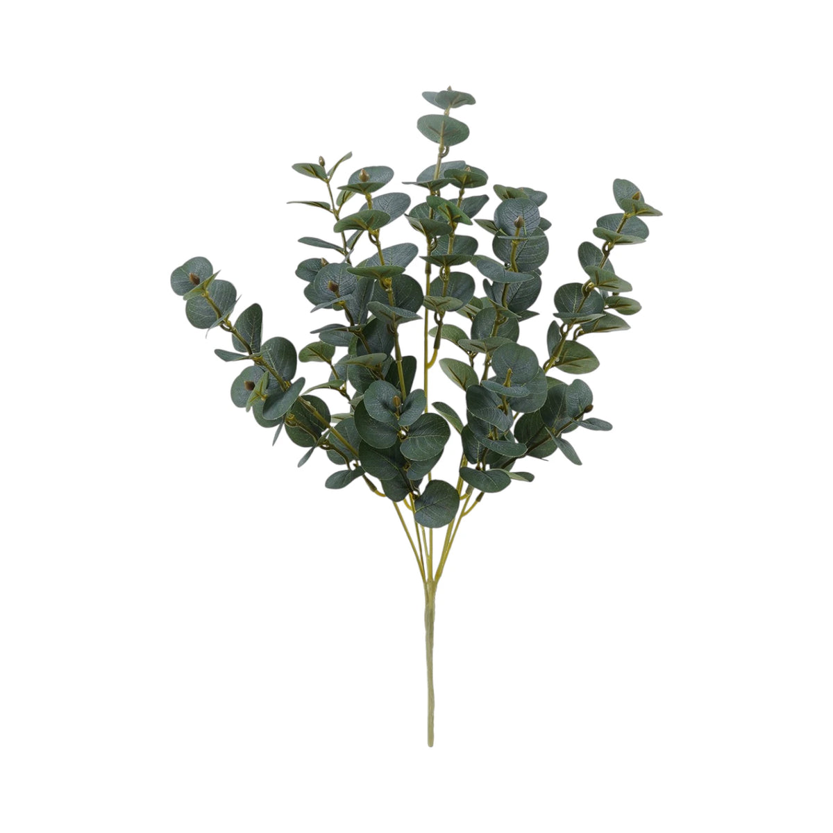 Eucalyptus Artificial Stem B