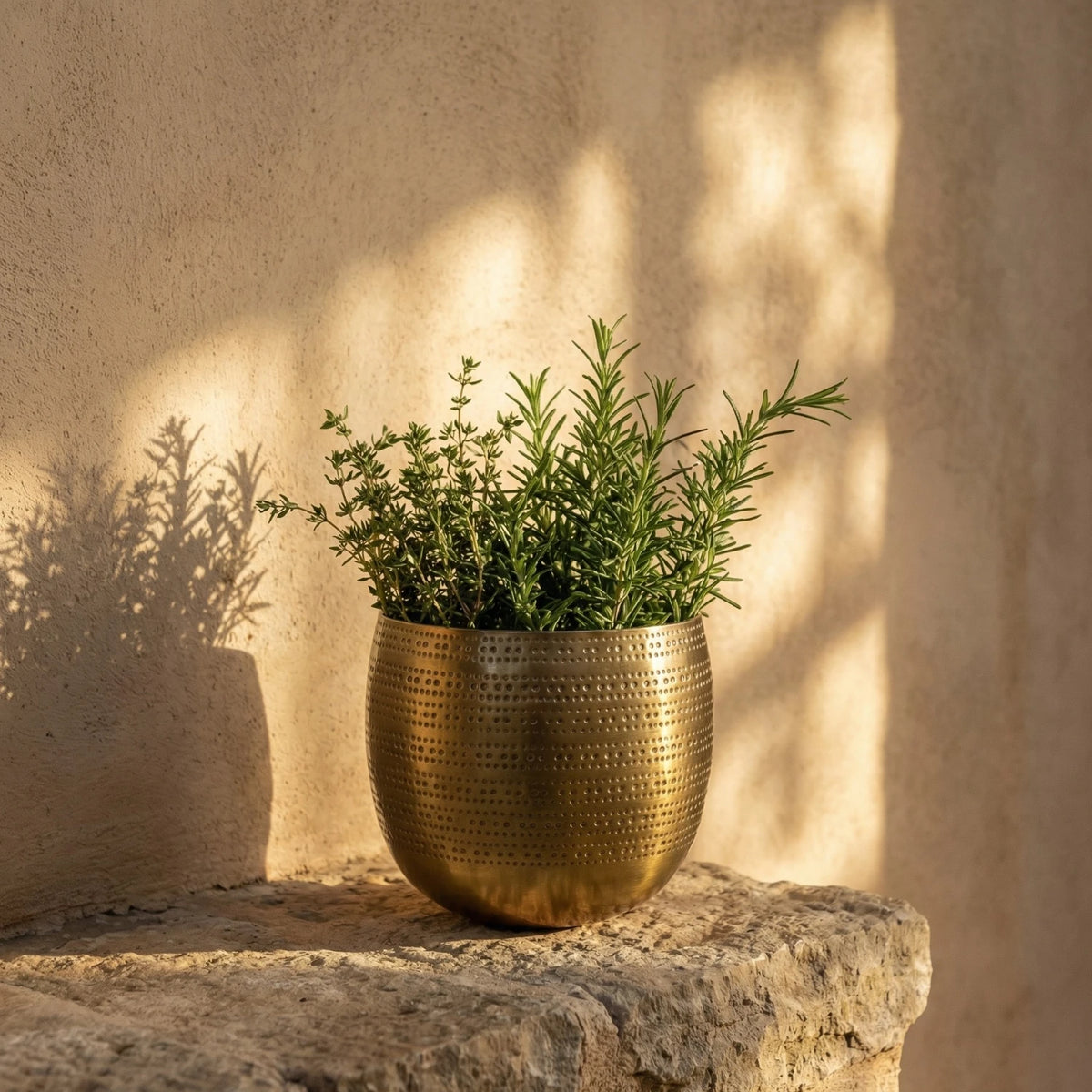 Argo Brass Planter - Extra Small