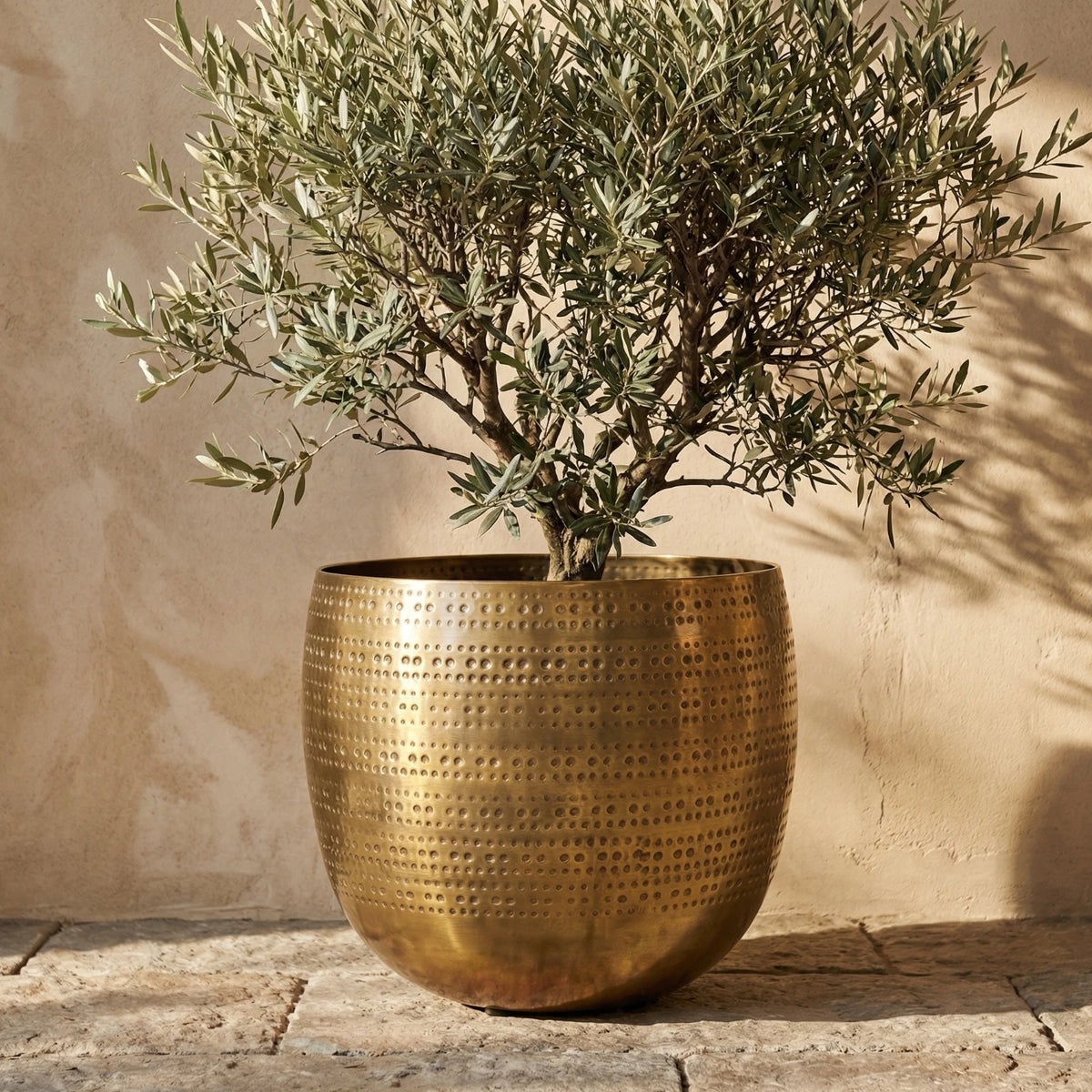 Argo Brass Planter - Extra Large