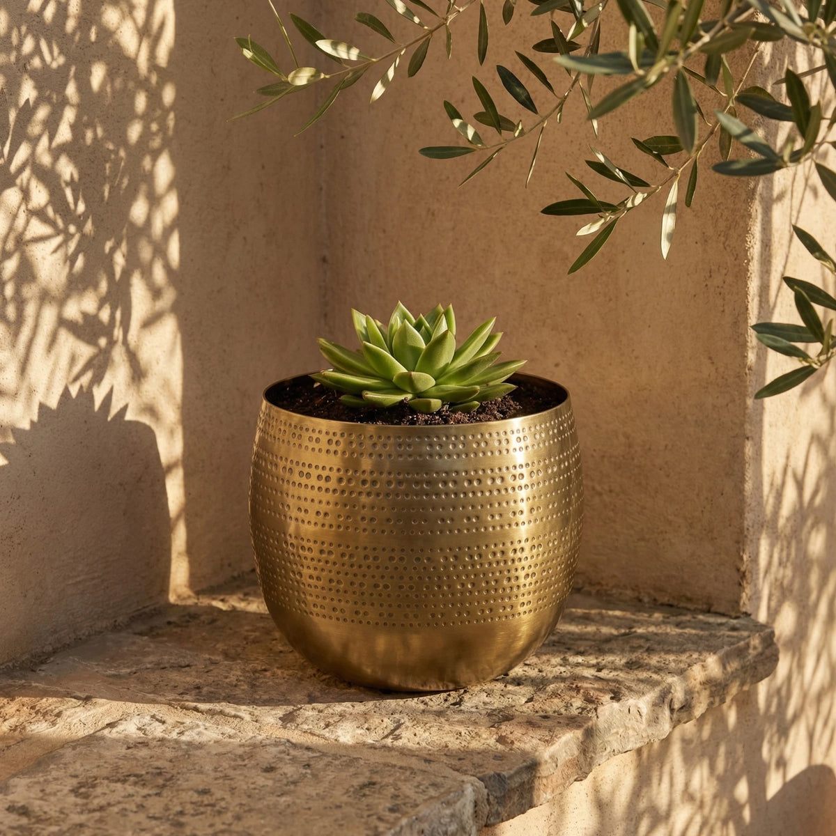 Argo Brass Planter - Medium