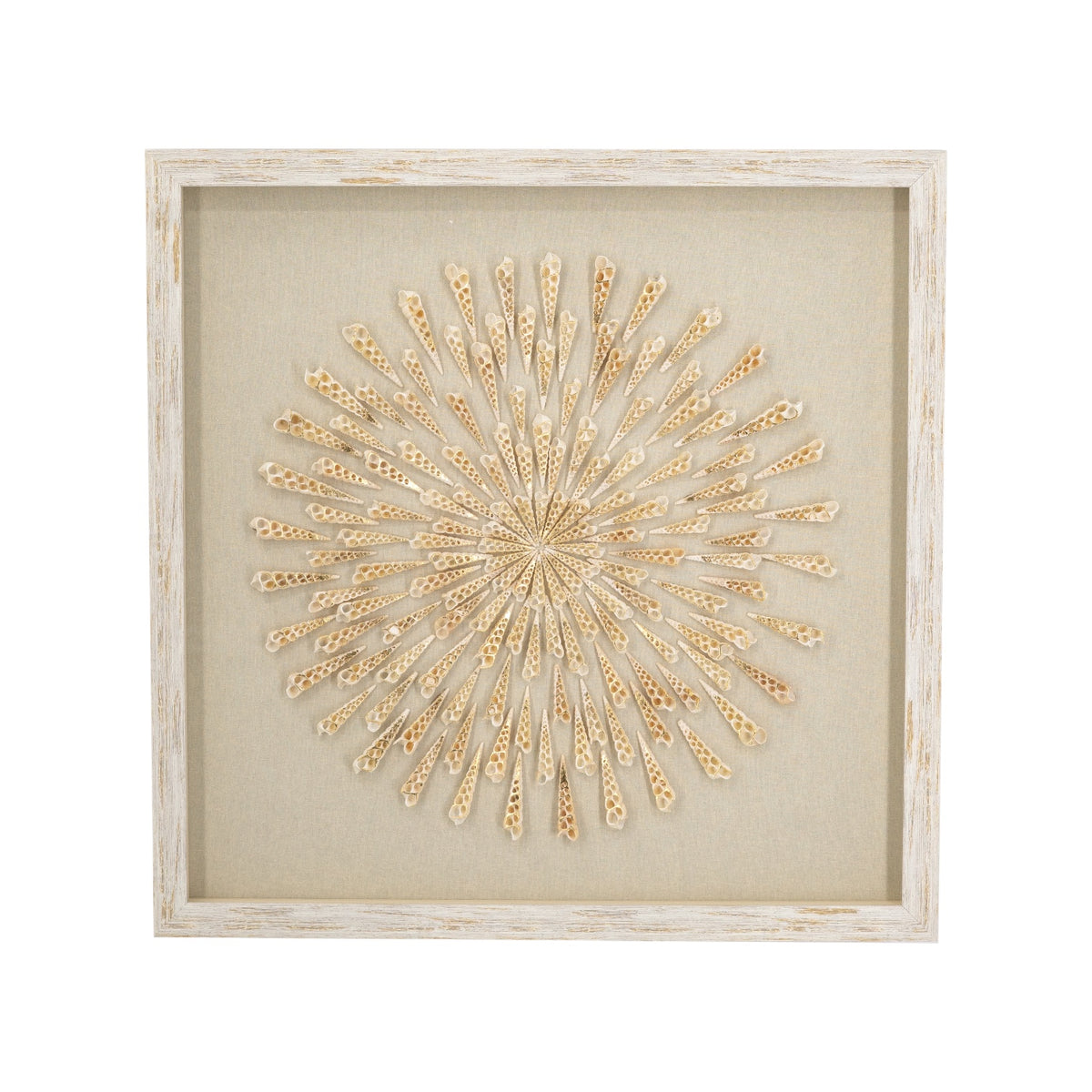 Shell Burst - 60 x 60cm