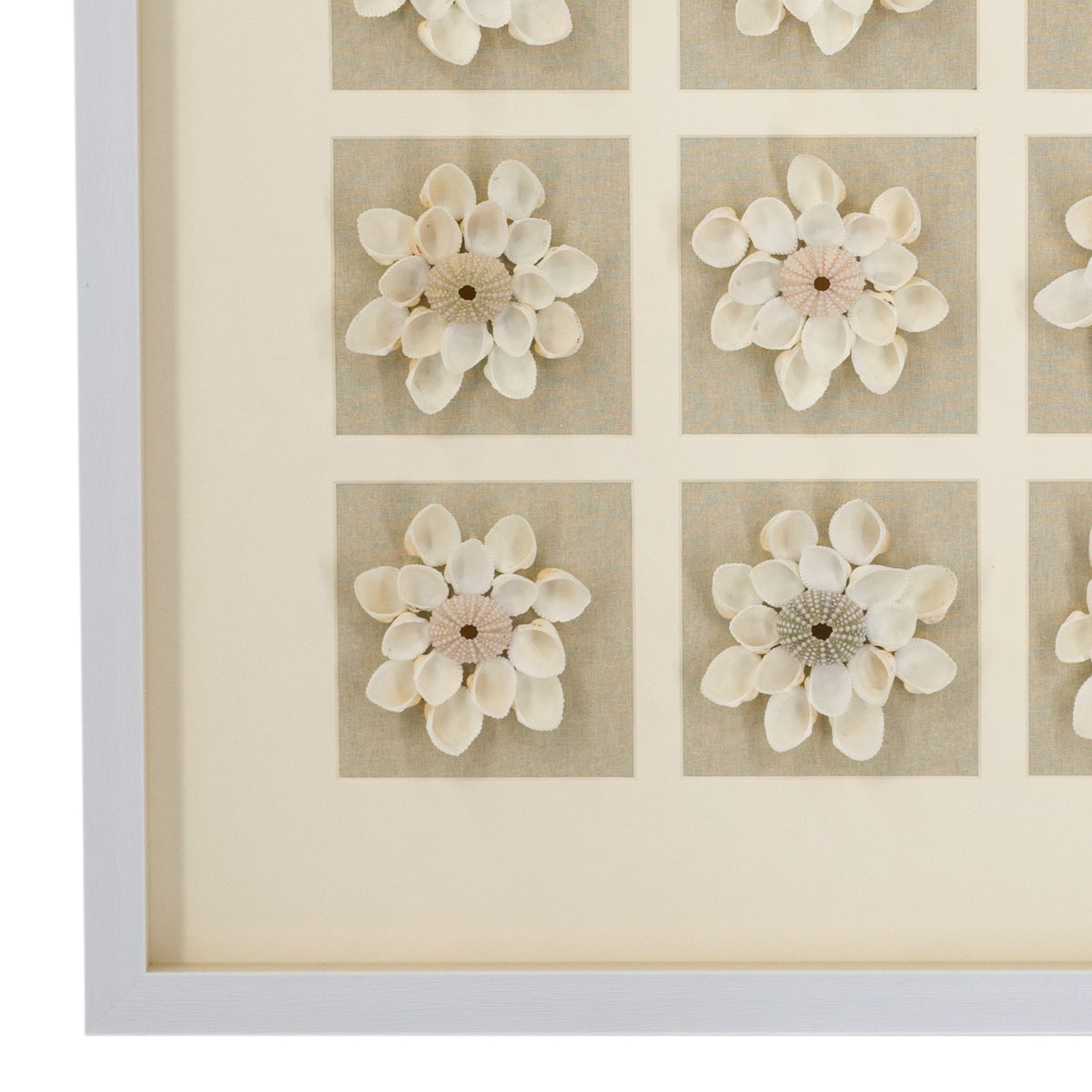 Daisy Shell - 60 x 60cm