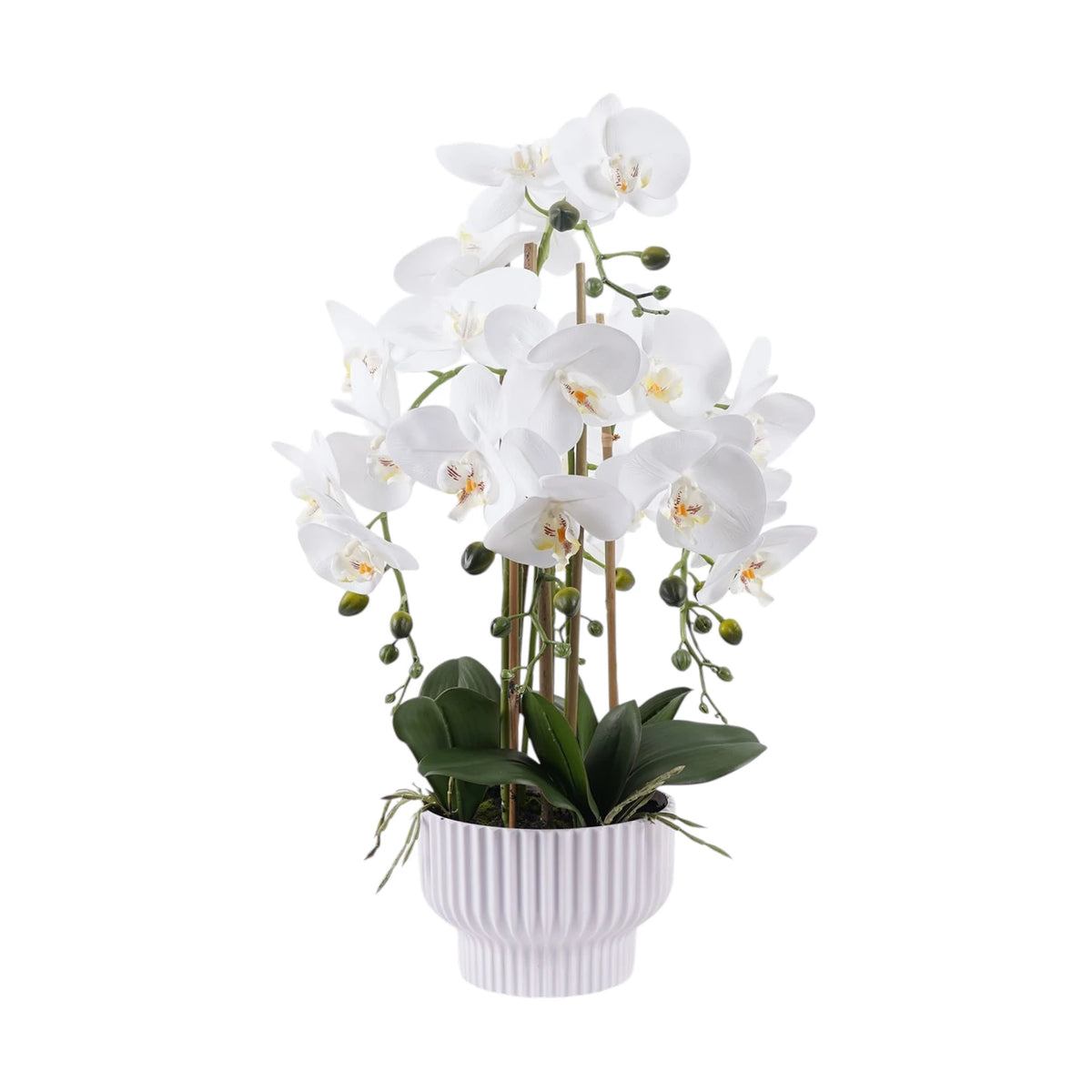 Phalaenopsis Orchid in Pot Artificial - 65cm