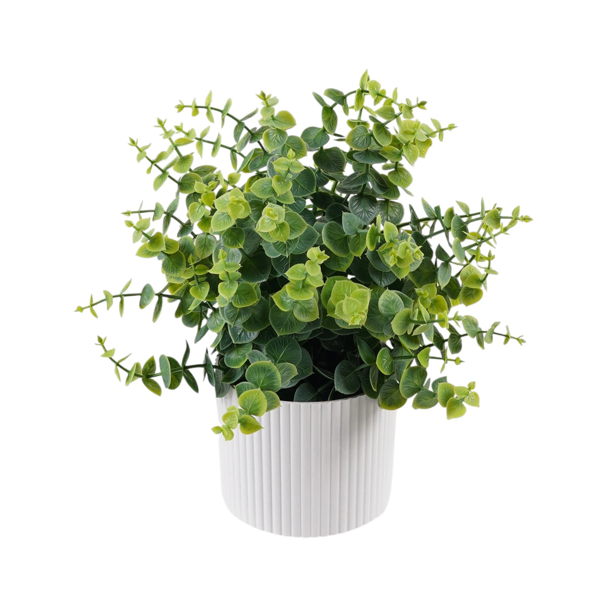 Eucalyptus in White Pot Artificial Plant