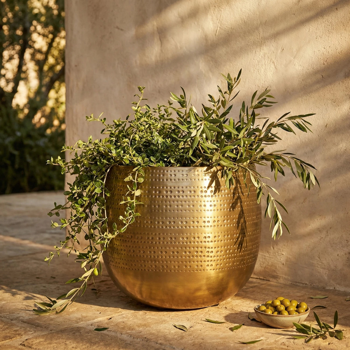 Argo Brass Planter - Large