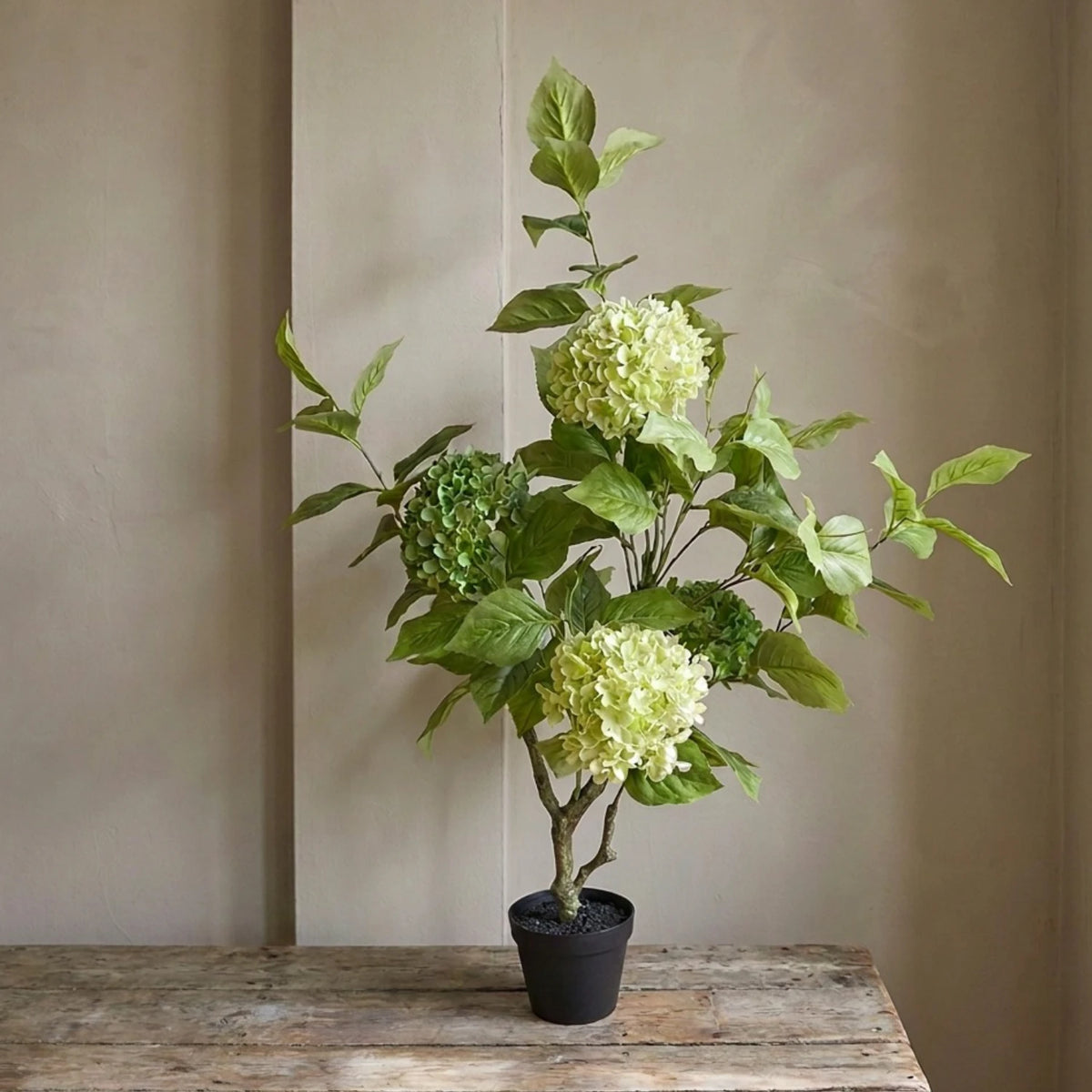Potted Hydrangea - 108cm