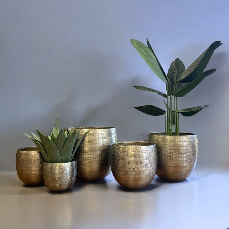 Argo Brass Planter Set IMG2