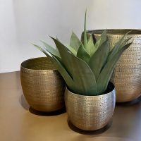 Argo Brass Planter Set IMG3
