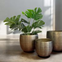 Argo Brass Planter Set IMG4