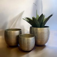 Argo Brass Planter Set IMG5