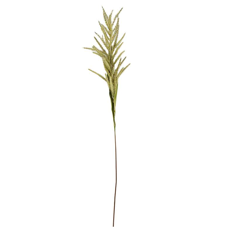 Artificial Flower - Reed Stems 133cm - Green - GS-35121012-G1