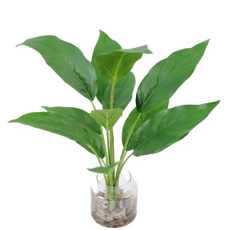 Artificial Plant - Leaves in glass vase - GS-06921024
