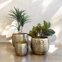 Azura Brass Planter Set IMG2