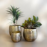 Azura Brass Planter Set IMG3