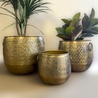 Azura Brass Planter Set IMG5
