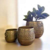 Azura Brass Planter Set IMG6