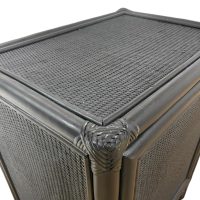 BLACK RAFFLES RATTAN LEFT IMG4