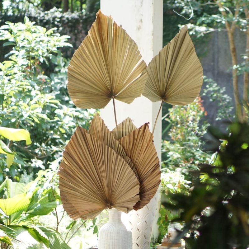 Dried Palm Lead Fan IMG2