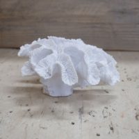 EV-74991-FAUX-CORAL-A-2