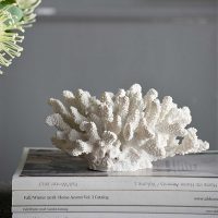 EV-74992-FAUX-CORAL-C-5