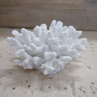 EV-74993-FAUX-CORAL-C-2