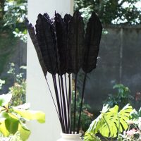 Kipas Black Leaf Fan Raffia IMG1-Photoroom