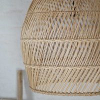 NEP-PEN-NEPTUNE-PENDANT-2