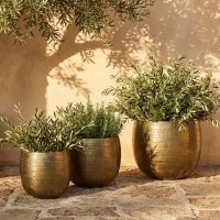 Planter Argo Brass Styled1