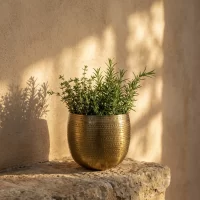 Planter Argo Brass Styled4