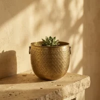 Planter Azure Brass Iron Styled6