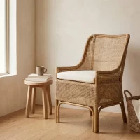 Raffles Chair with Cushion Styled2