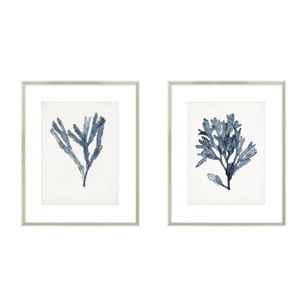 Seaweed Specimens I & II $320 each