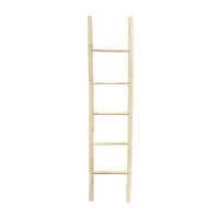 Teak Ladder IMG1