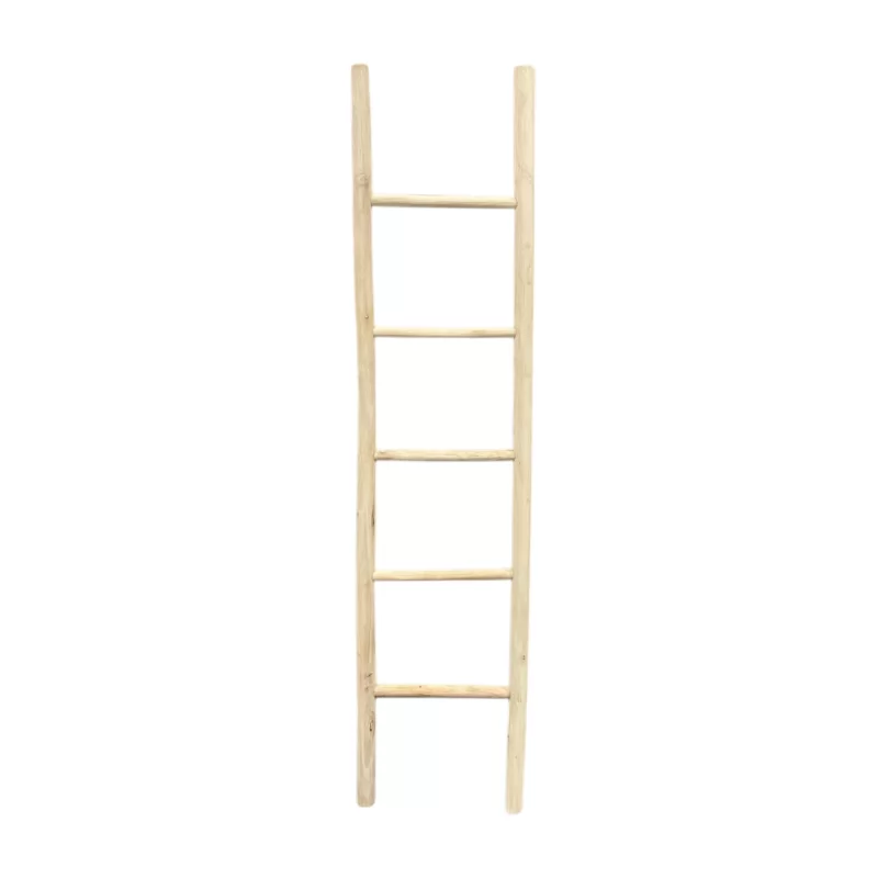 Teak Ladder IMG1