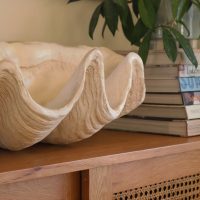 UGC @halyardhome_IMG3 Clam shell
