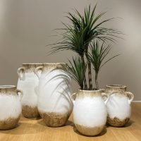 White terracotta pot Large:Small IMG5